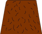bullwinkle.jpg