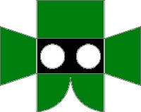 green_tunic.jpg