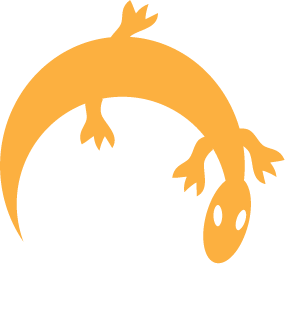 gecko_graphic.png