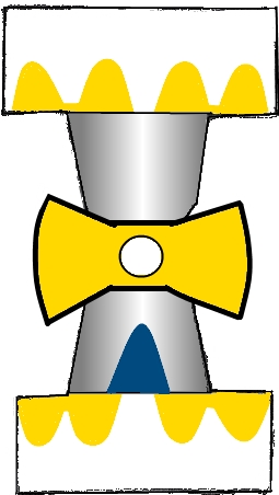 champion.jpg