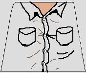 indy_shirt.jpg