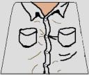 indy_shirt.jpg