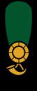 95th_shako.png