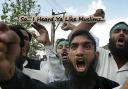 muslims__i_heard_you_liek_them.png
