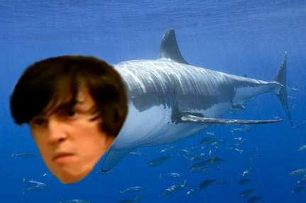 acesshark.png