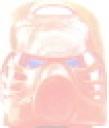 newav.jpg