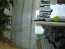 dsc01637.jpg