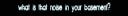 banner_en.gif