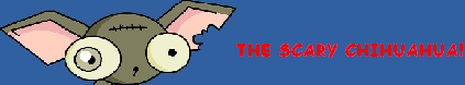 scarychihuahabanner2.png
