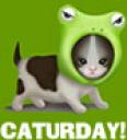 caturdayleft.jpg