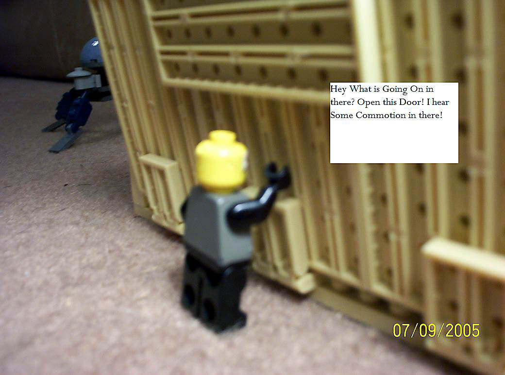 000_0515_edited.jpg