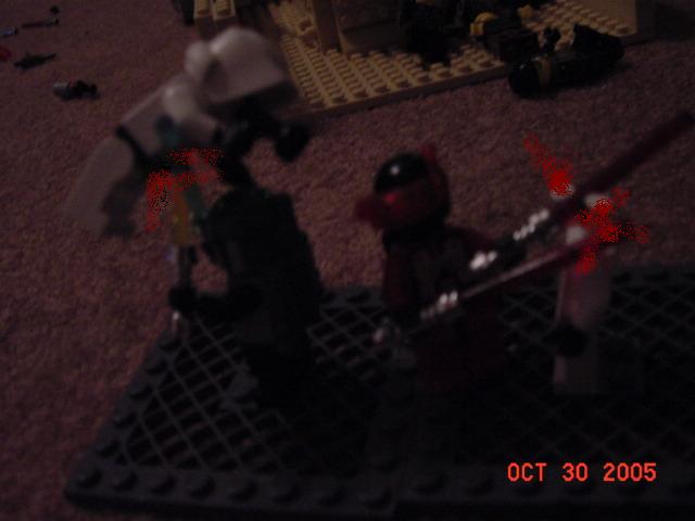 dsc00109.jpg