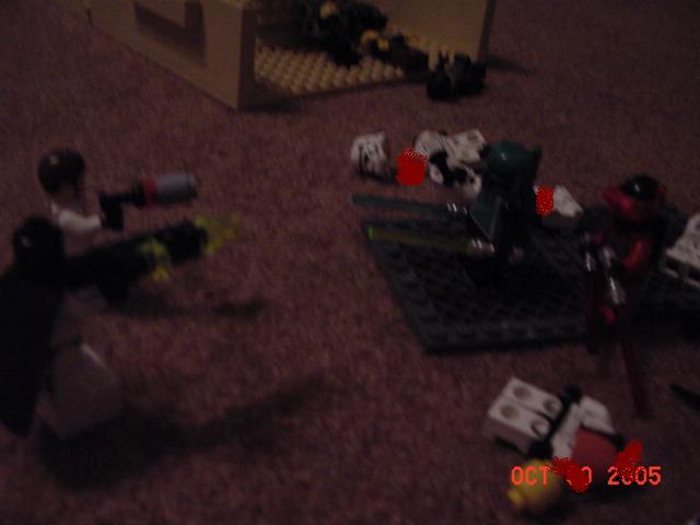 dsc00110.jpg