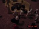 dsc00096.jpg