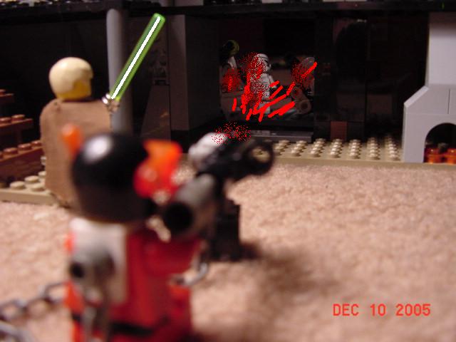 dsc00314.jpg