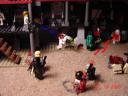 dsc00321.jpg