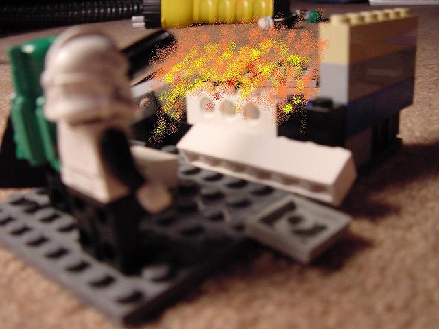 dsc00342.jpg