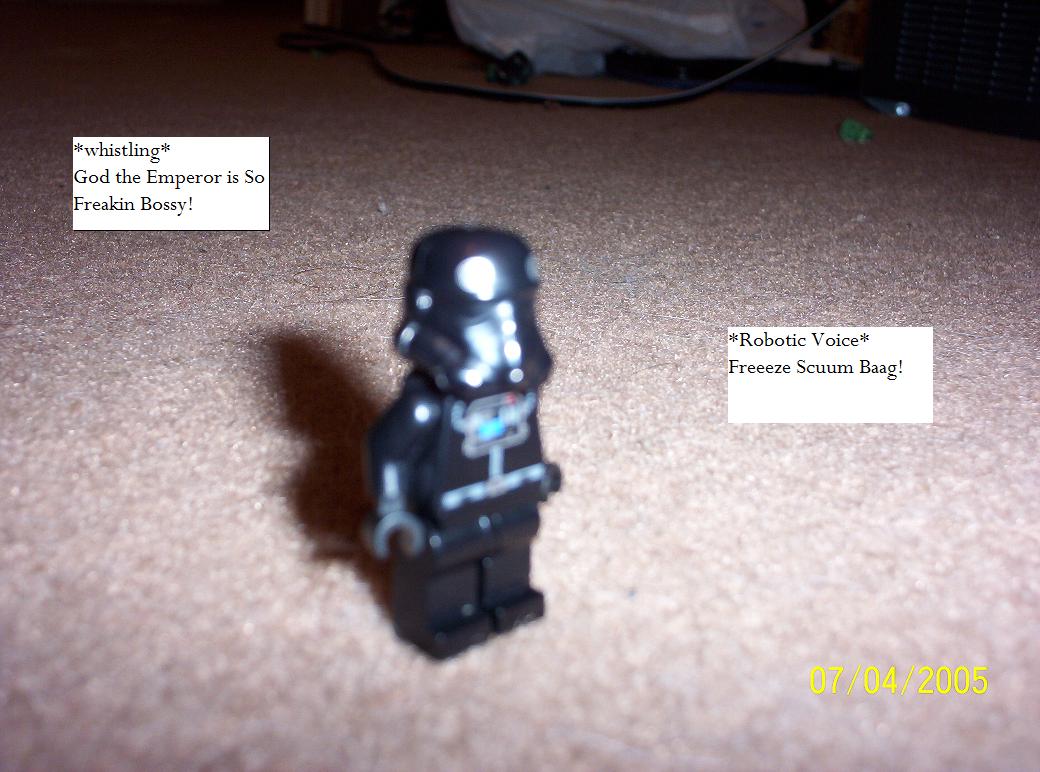 000_0459.jpg
