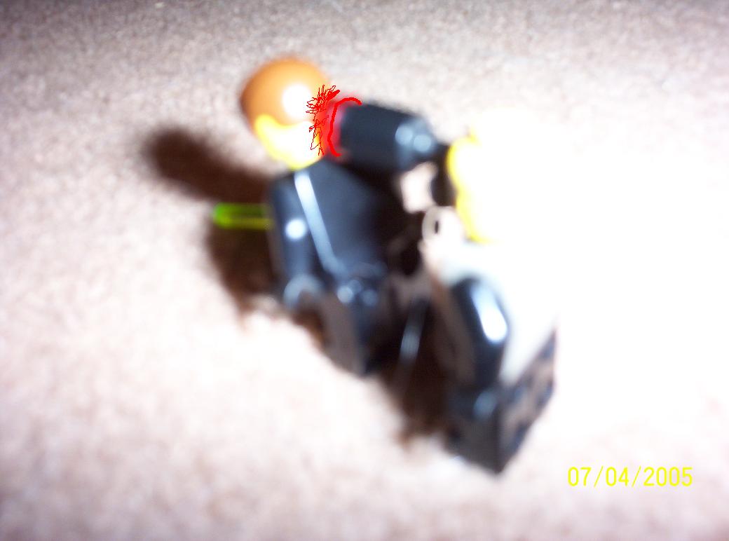 000_0487.jpg