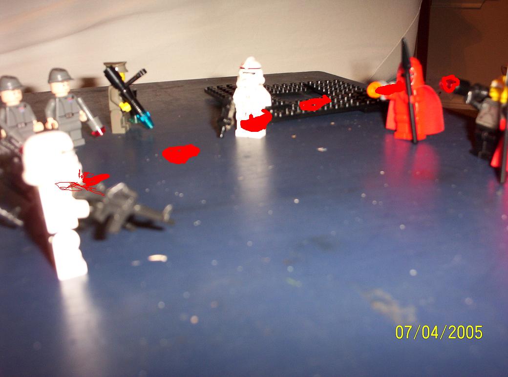 000_0494.jpg