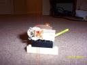 000_0483.jpg