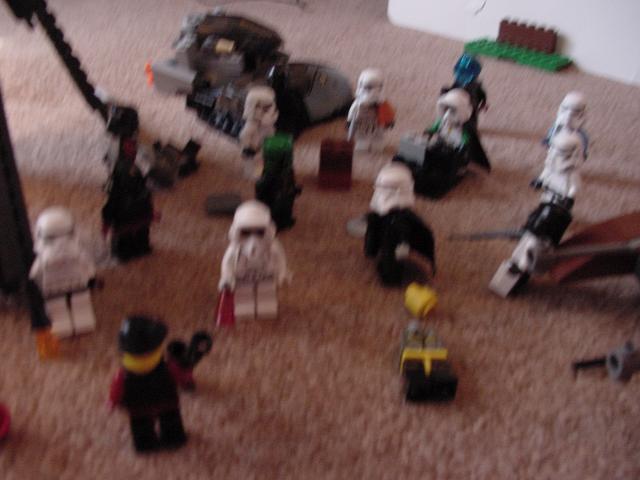 dsc00135.jpg