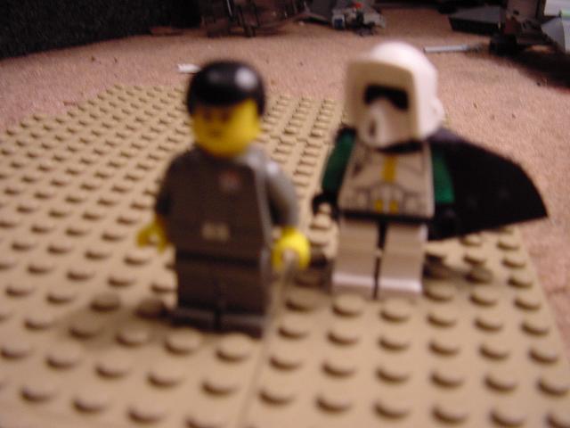 dsc00094.jpg
