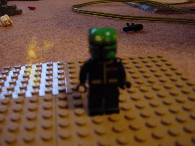 dsc00178.jpg