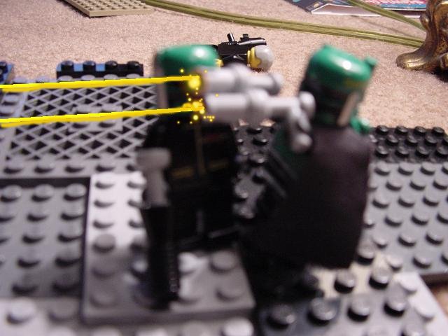 dsc00184.jpg