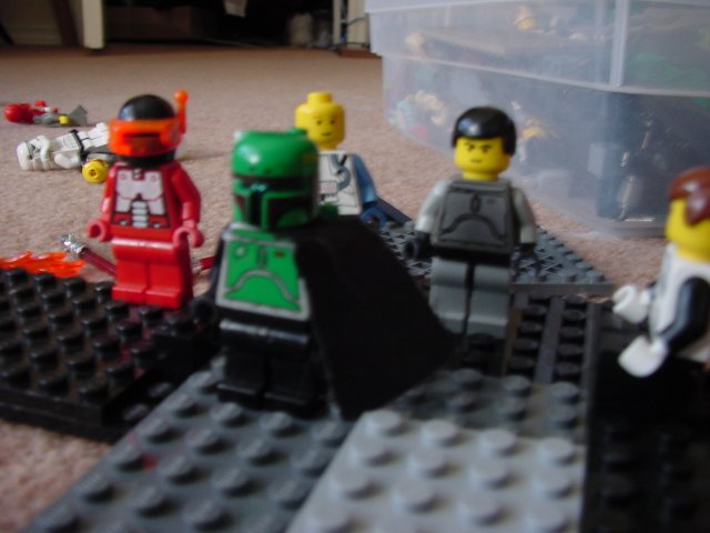 dsc00203.jpg