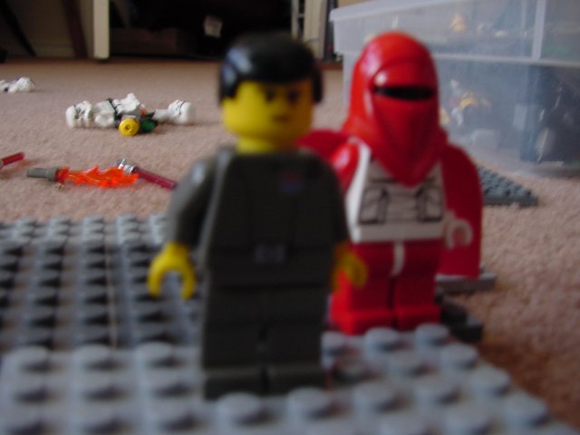dsc00204.jpg