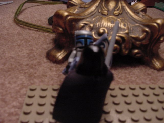 dsc00294.jpg