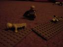 dsc00009.jpg