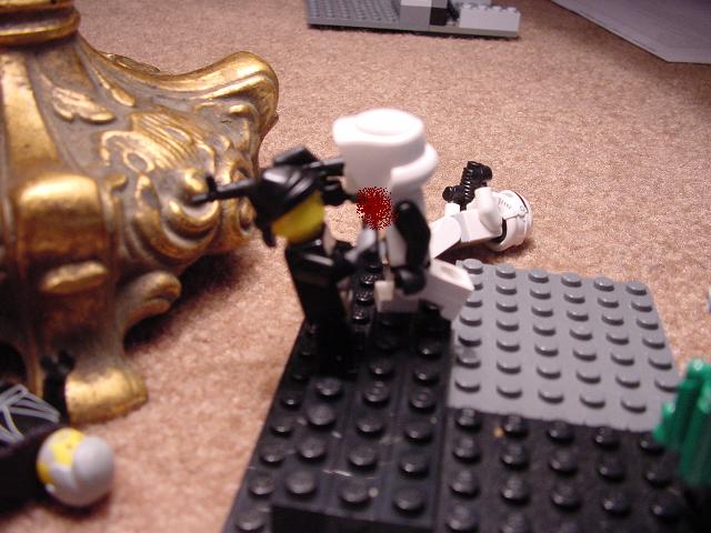 dsc00012.jpg