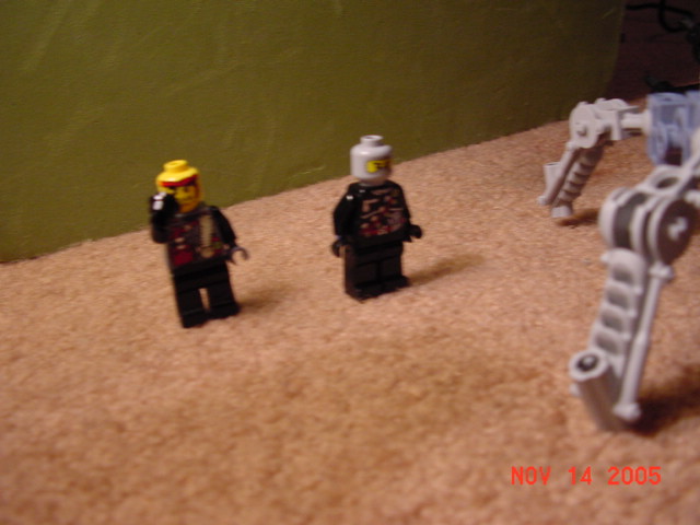 dsc00161.jpg
