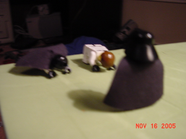 dsc00179.jpg