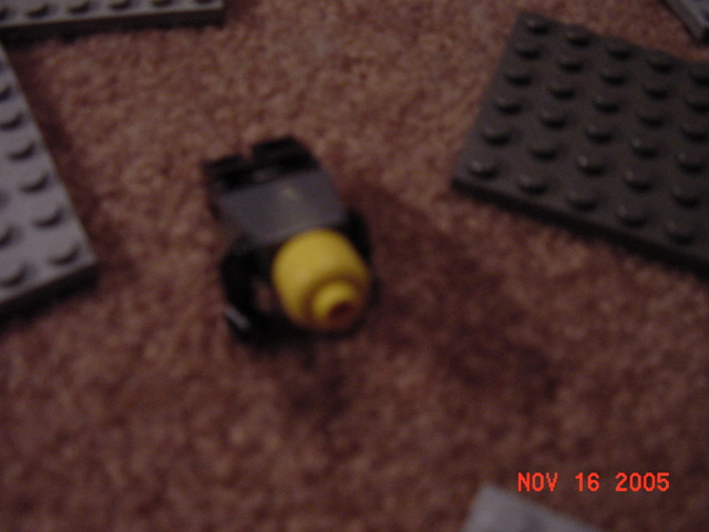 dsc00181.jpg