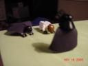 dsc00179.jpg