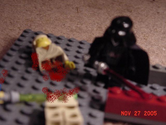 dsc00245.jpg