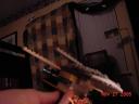 dsc00222.jpg