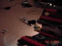dsc00236.jpg