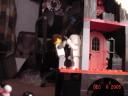 dsc00277.jpg