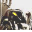 munchshad.gif