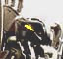 munchshad.gif