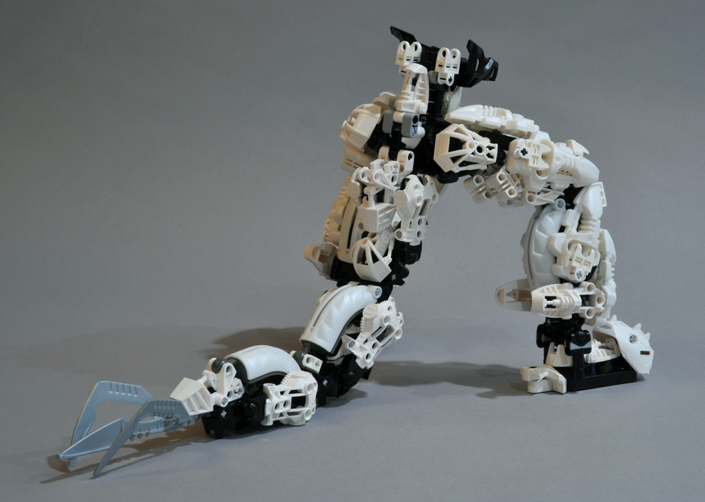 tailnback.jpg