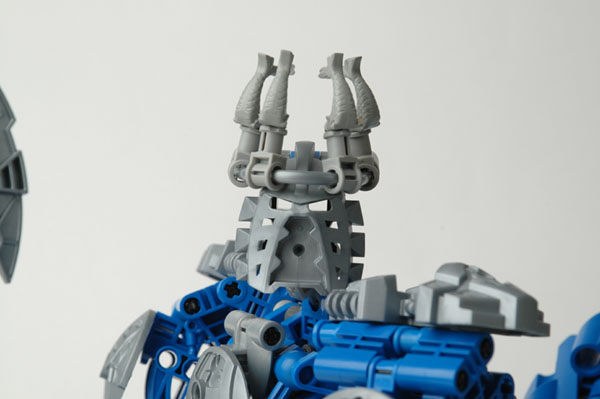 head.jpg