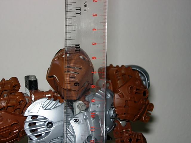 06.jpg