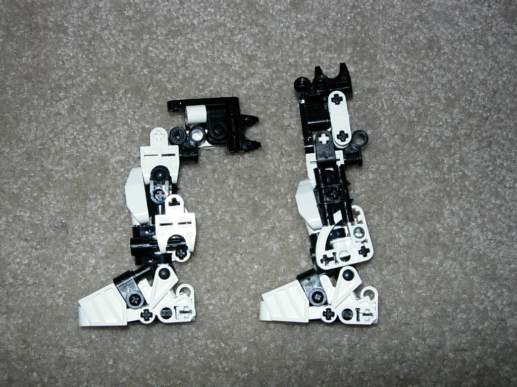 beindal8.jpg