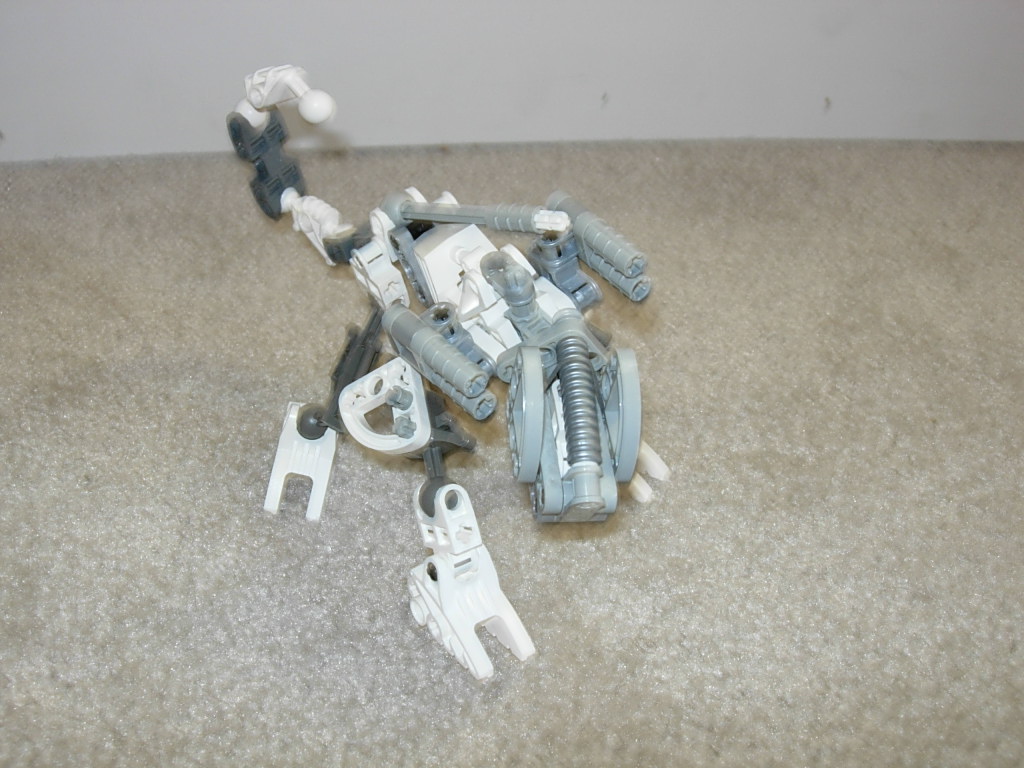 1pose.jpg