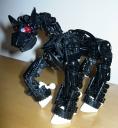 Pony
